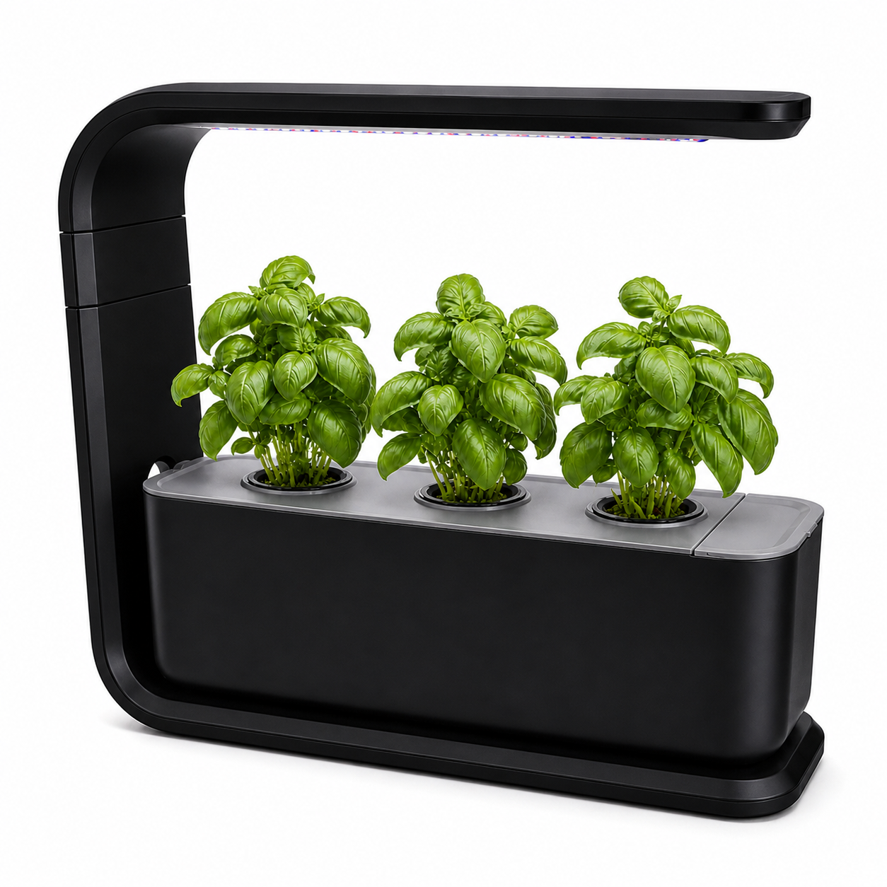 Mini-Garten 3