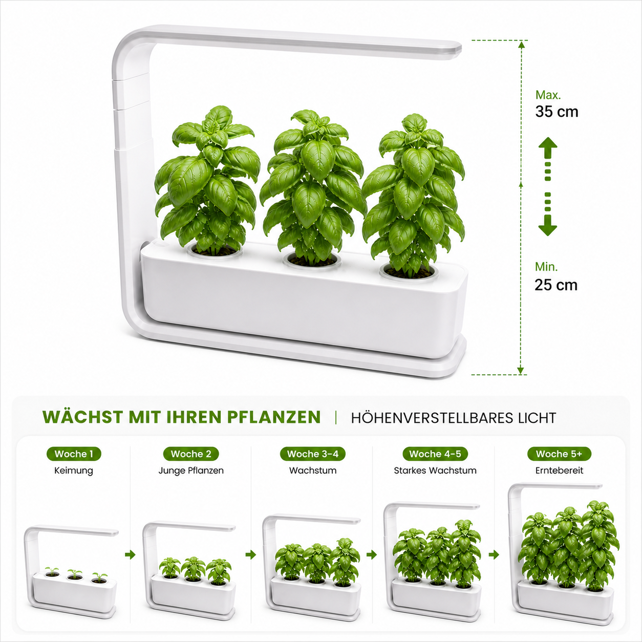 Mini-Garten 3