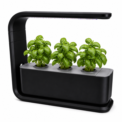 Mini-Garten 3