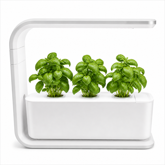 Mini-Garten 3